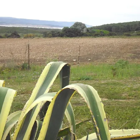 Agriturismo Arena Del Sol פרטיליה